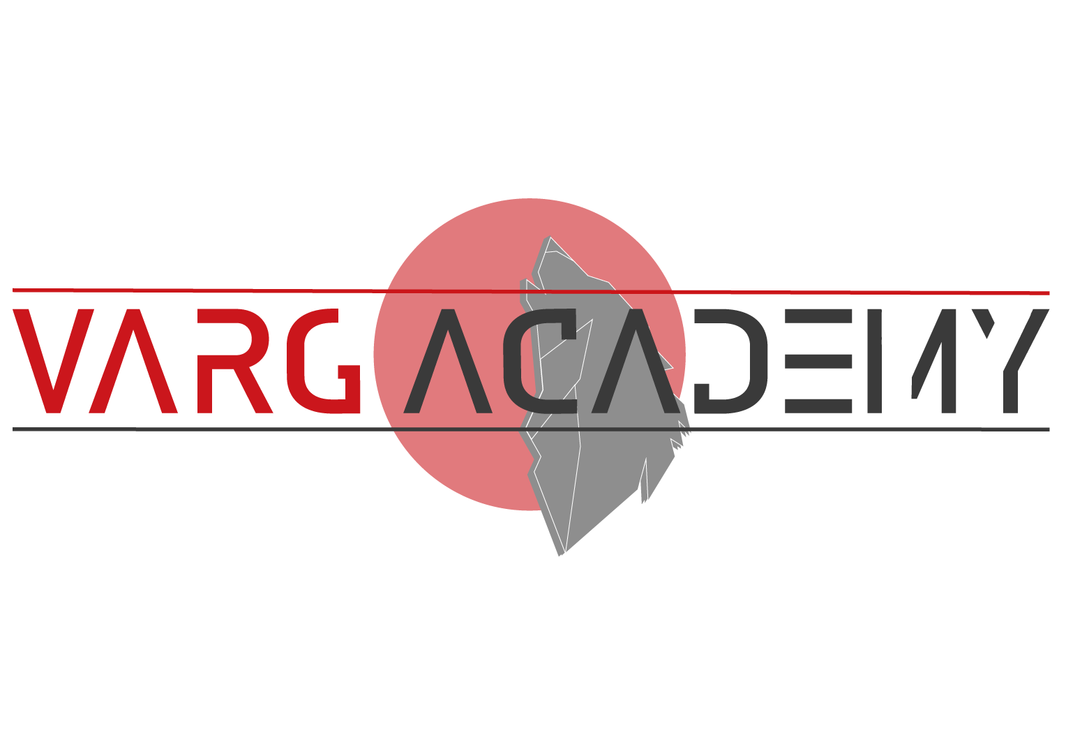 Academy-logo---Mørk-skrift---Stor.png