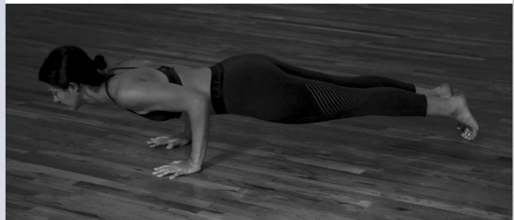 Strong chaturanga alignment.