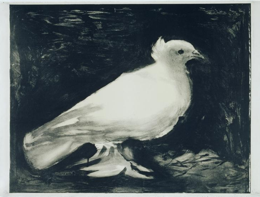 La Colombe de Picasso