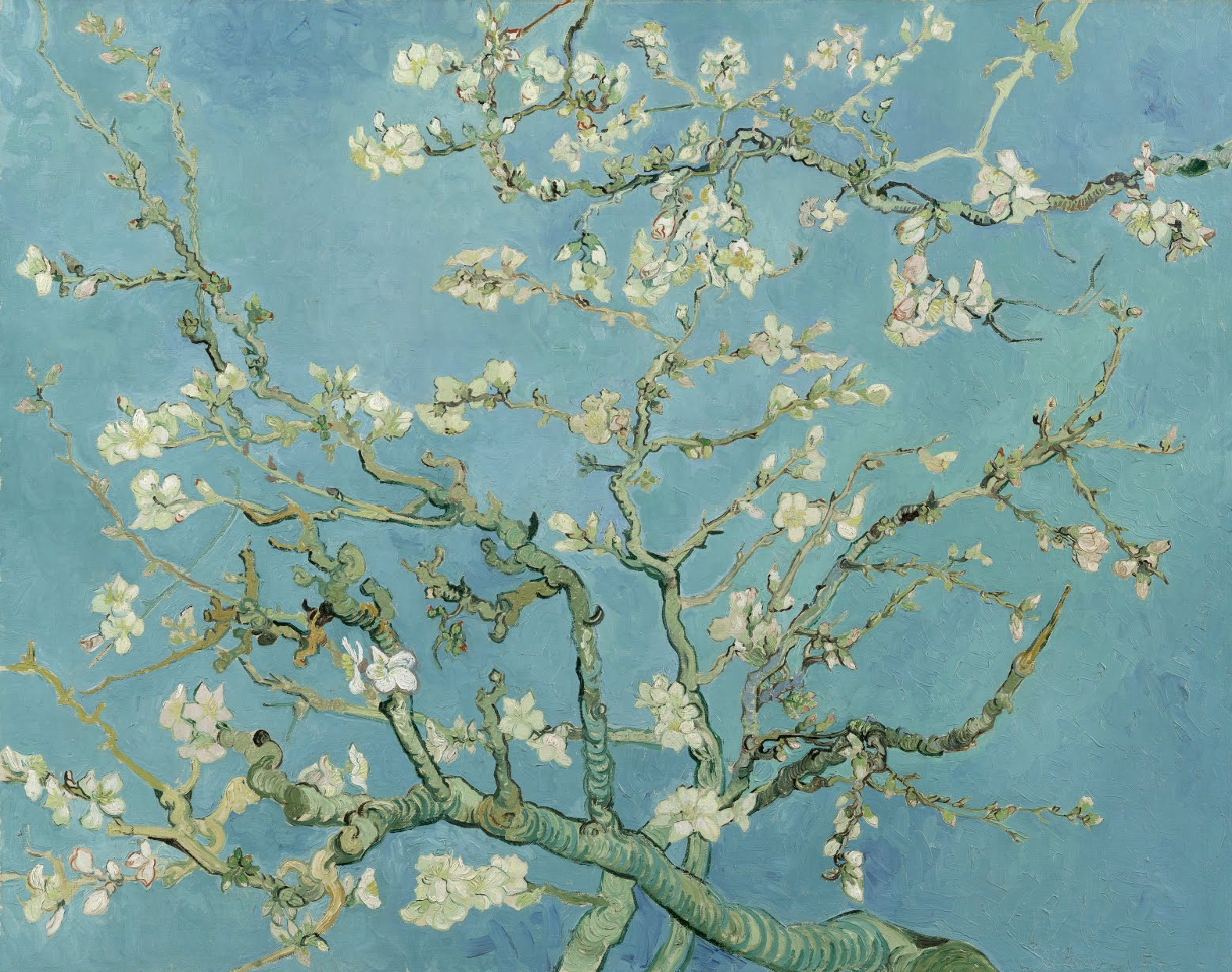 La nature de Van Gogh