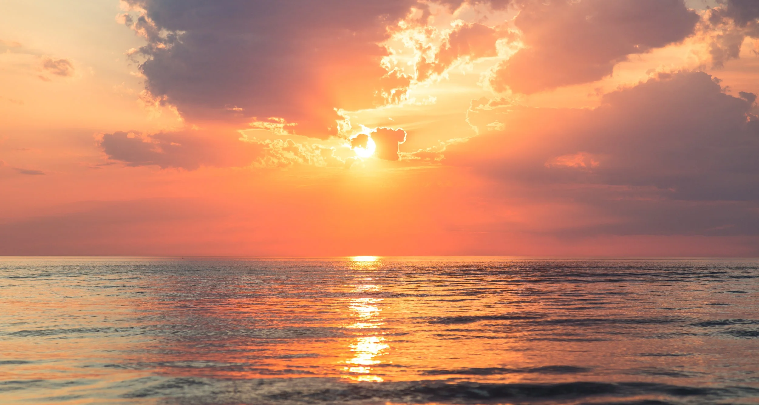   “ When I was diagnosed with breast cancer, Joyce was extremely helpful explaining all the medical terminology and what medical choices were available to me. She suggested questions to ask my doctor. Those questions enabled me to participate effecti