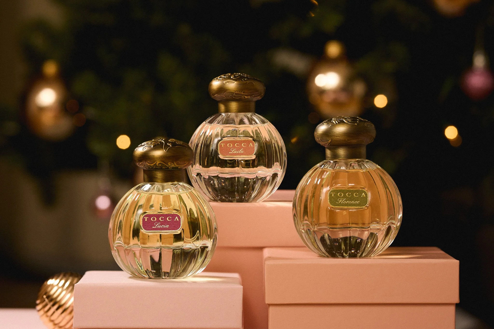 TOCCA_Holiday20255324-Edit.jpg