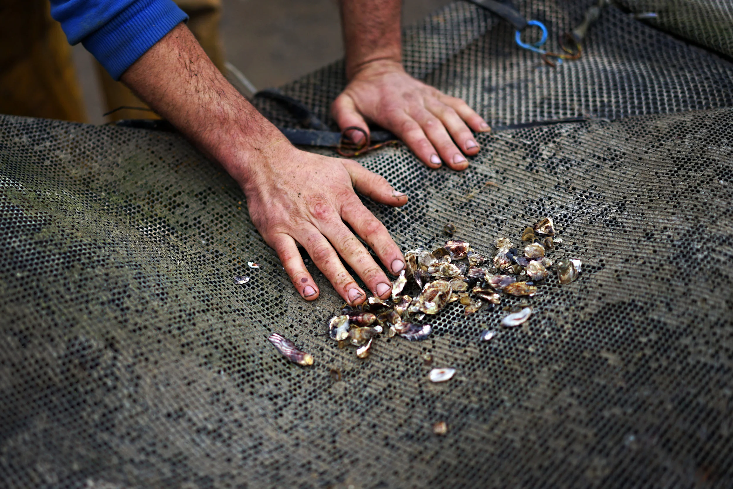 Hands 01.jpg