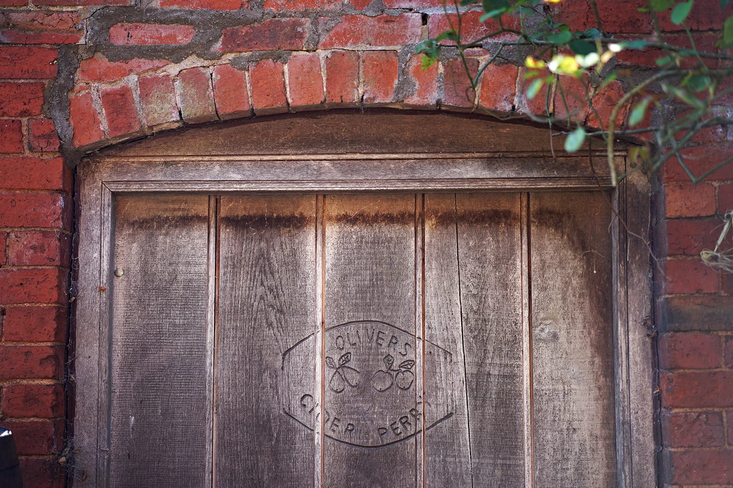 Olivers Cider 1.jpg