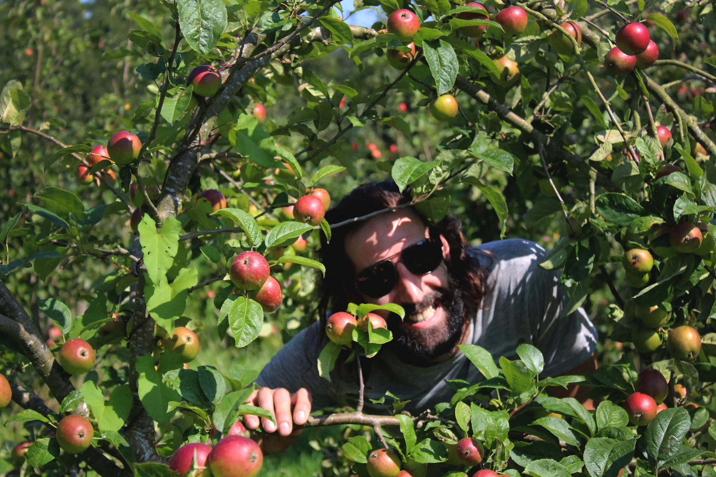 Floating on a Rising Tide — Charnwood Cider’s Triumph over Adversity