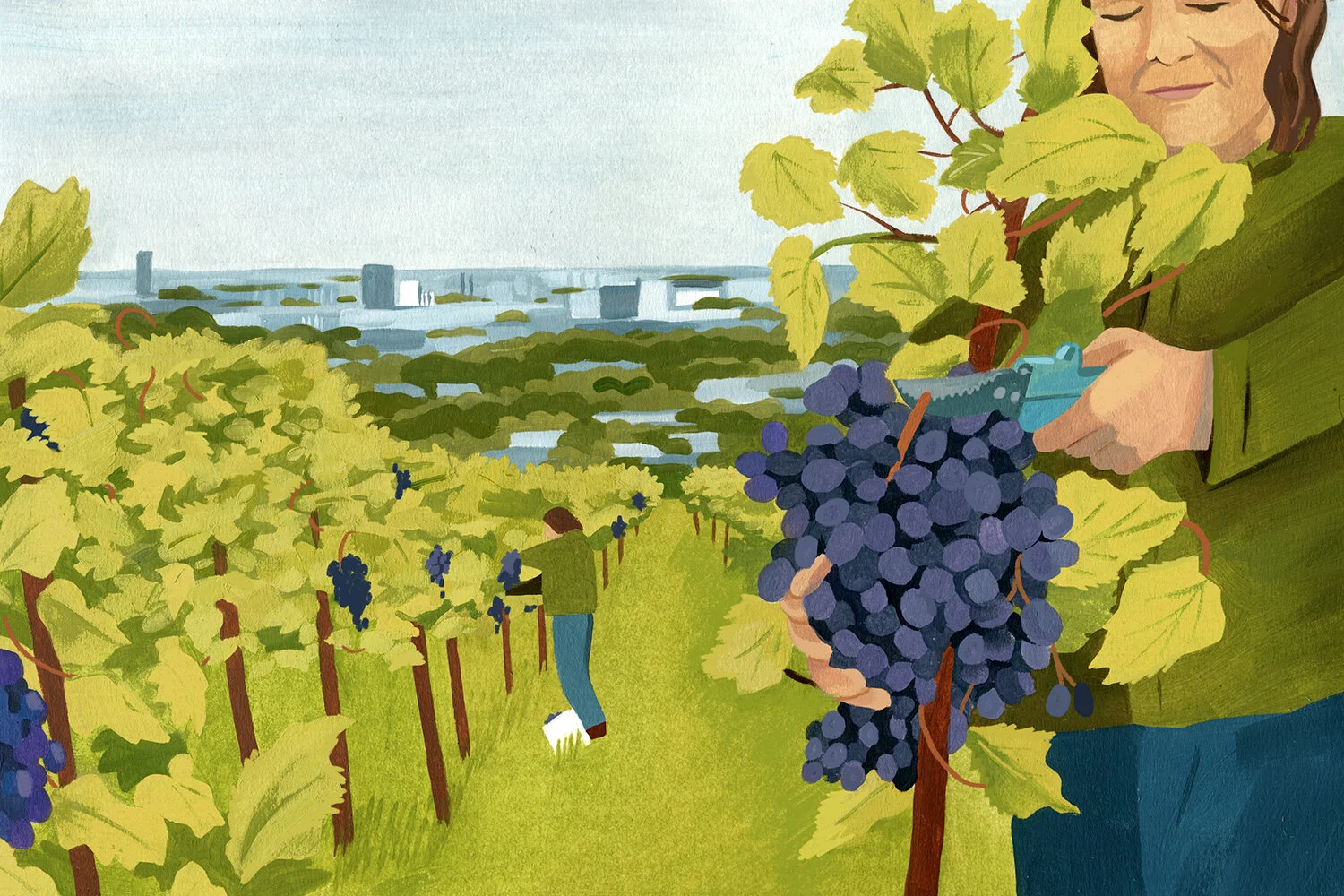 a-time-apart-weinbau-jutta-ambrositsch-and-the-wine-culture-of-vienna