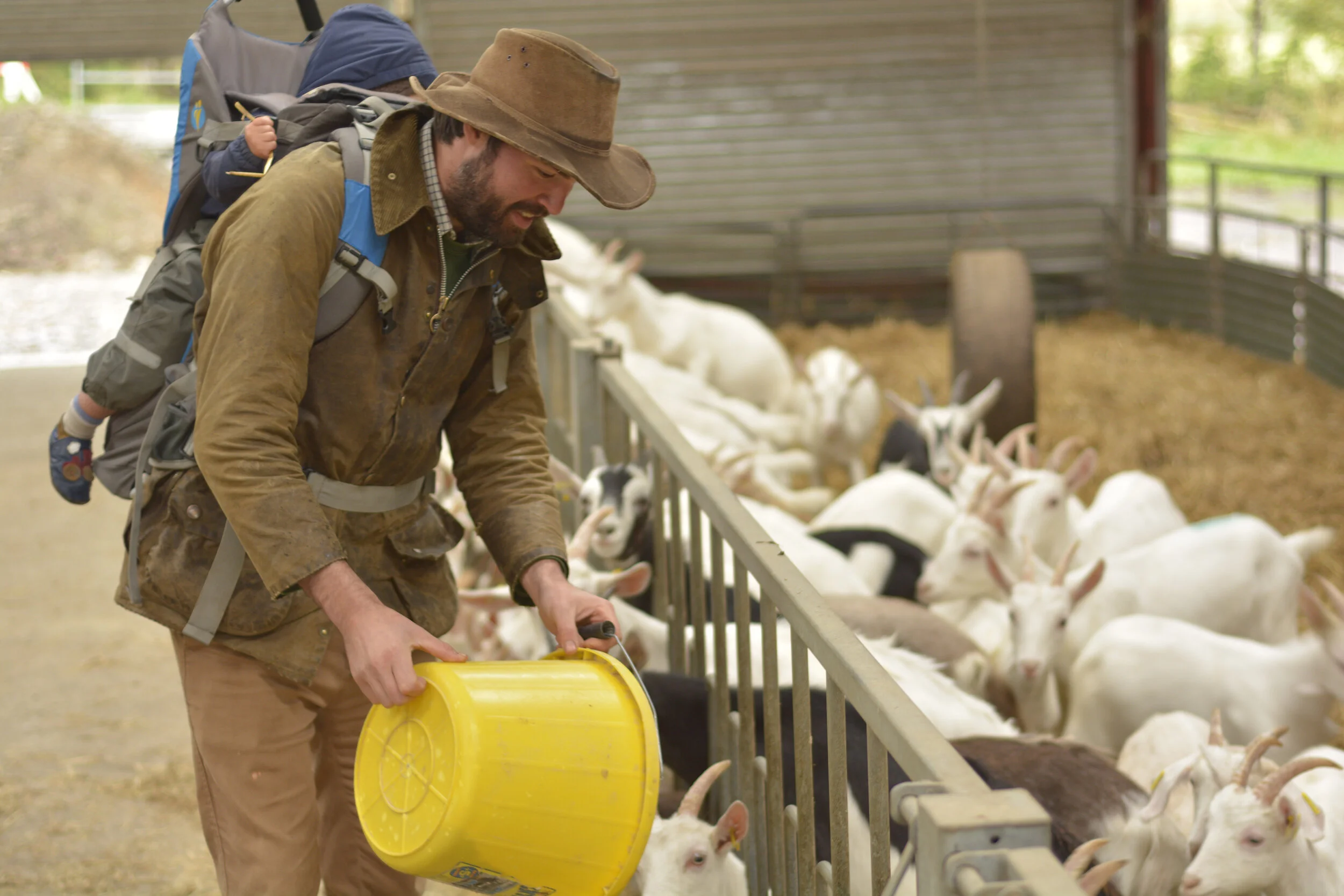 Never in a Month of Sundays — The Unlikely Story of Broughgammon Farm, Northern Ireland