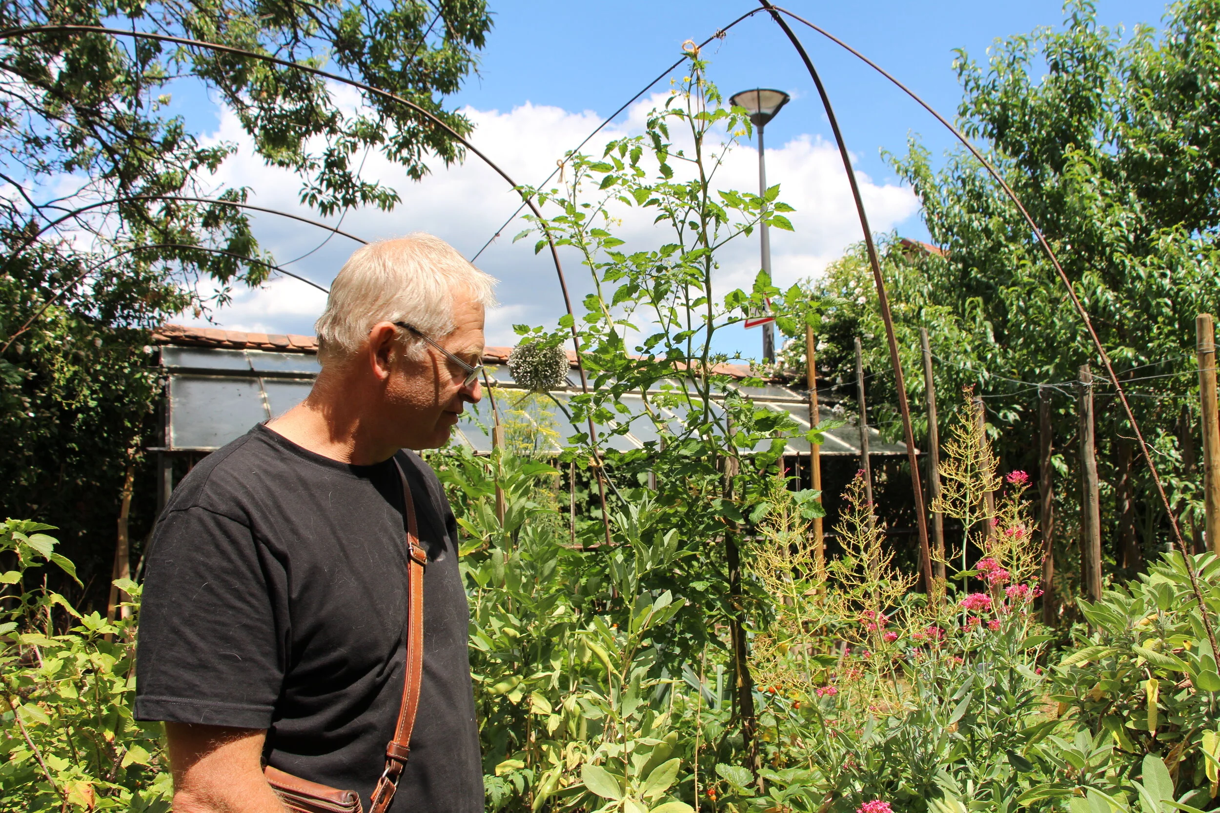 Fame is but a Fruit Tree — In Conversation with Jean Baltenweck of Domaine Clé de Sol