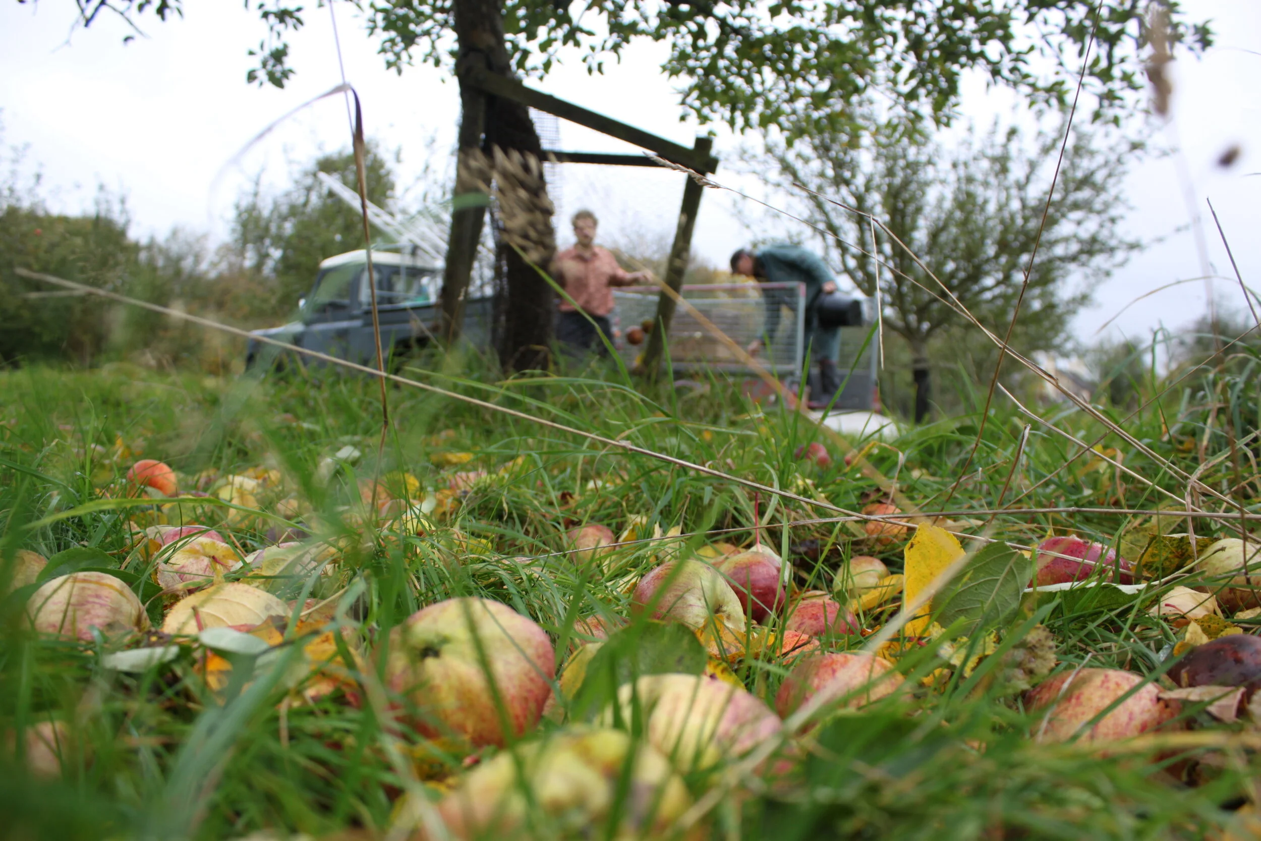 The Old World Underground — Day’s Cottage Cider and Perry, Brookthorpe, Gloucestershire