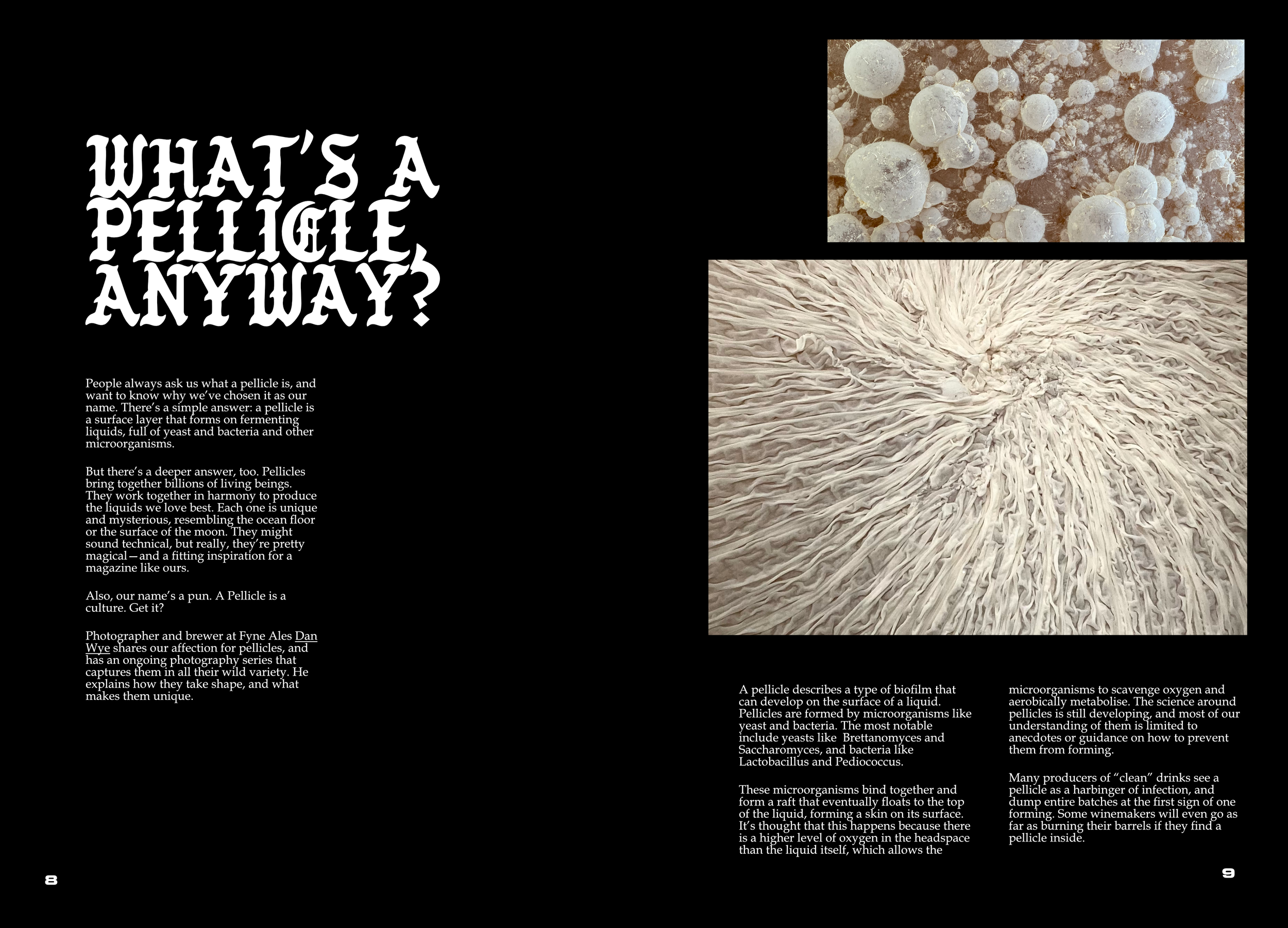 DAN WYE FOR WEB_1.png