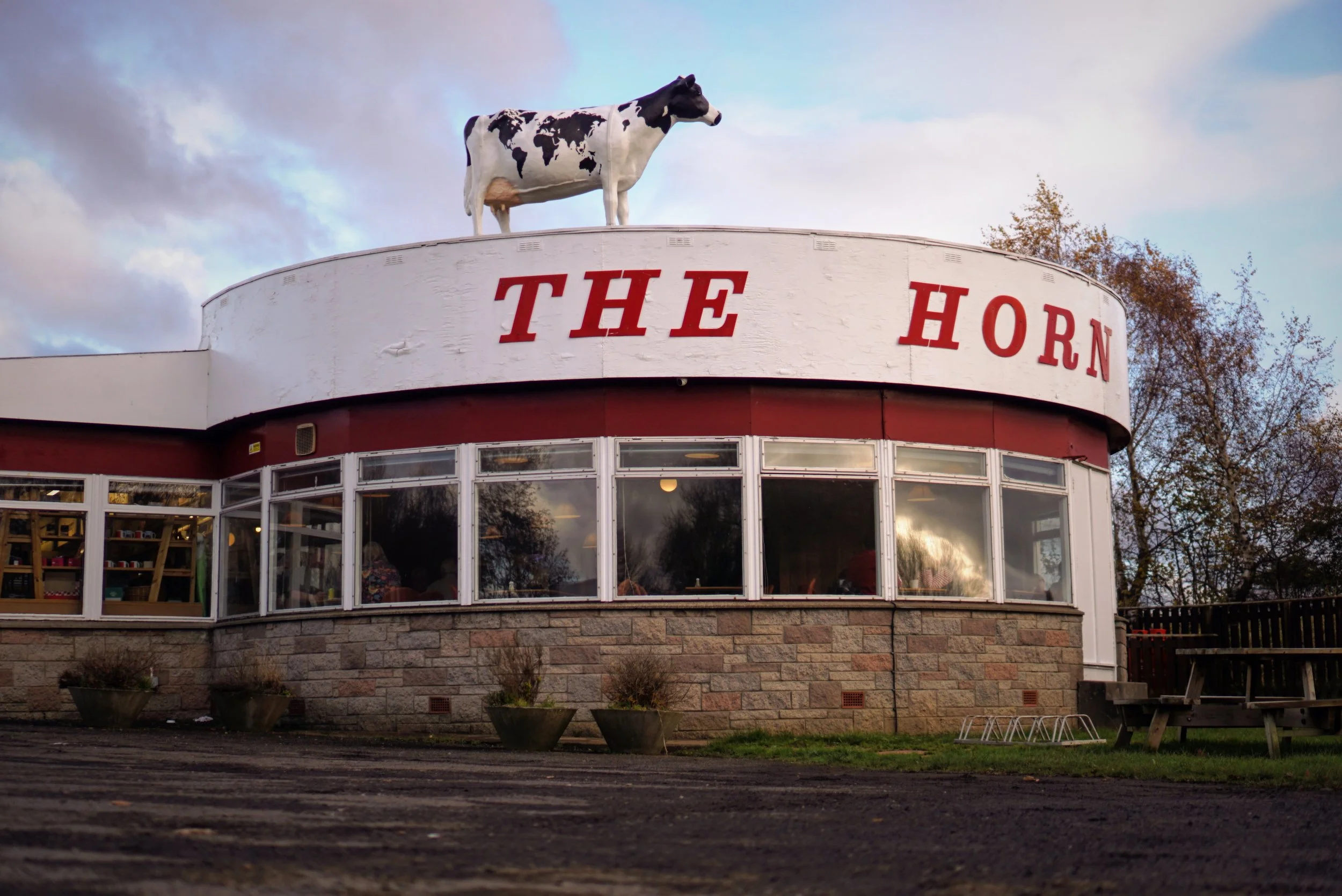 Cow On A Hot Tin Roof — The Horn Milk Bar in Errol, Scotland
