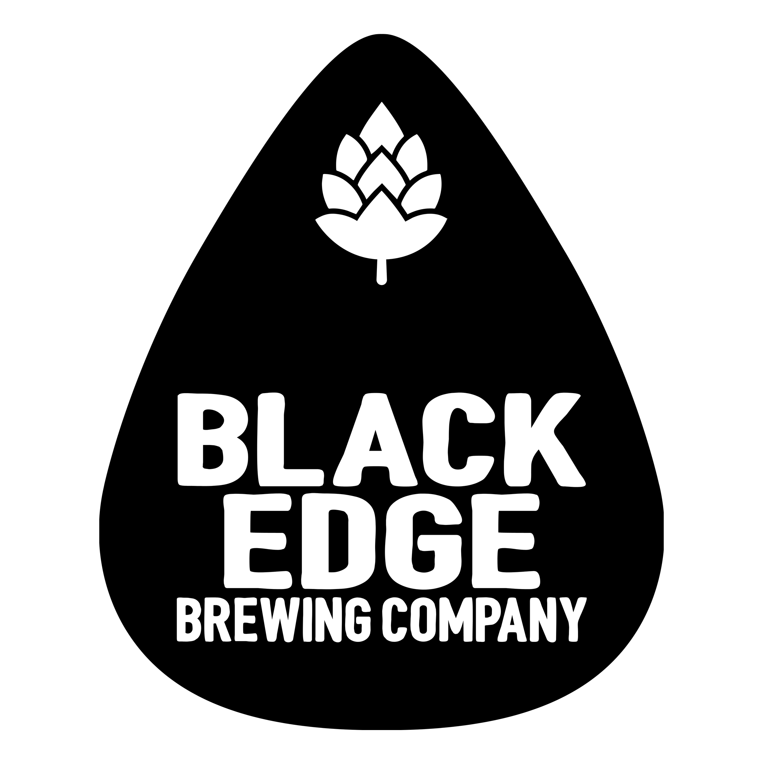 Black Edge Brewing Company