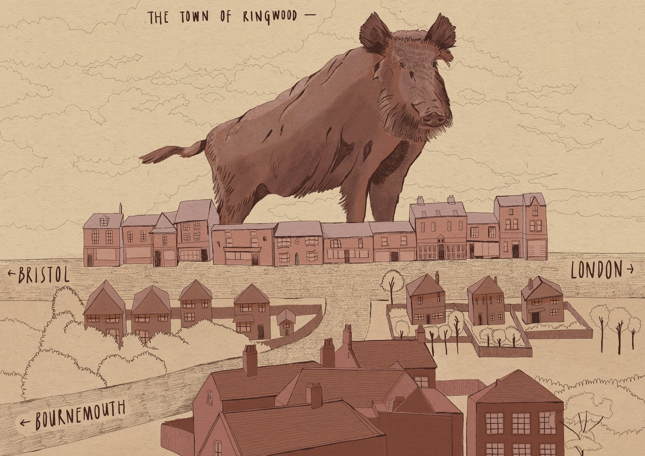 The Boar They Butchered — The Demise of Ringwood Brewery, Hampshire