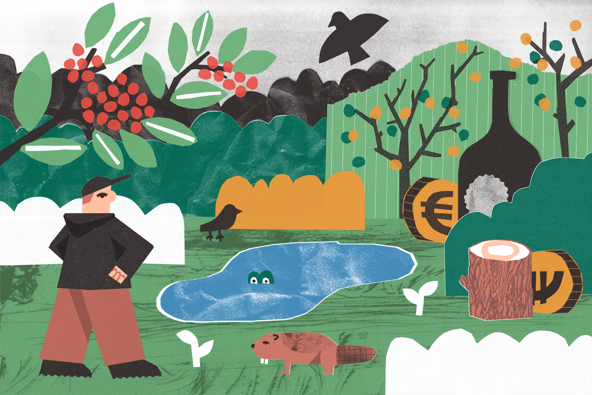 Reap What You Sow — Nevel Wild Ales and the Real Cost of Sustainability for Small Breweries