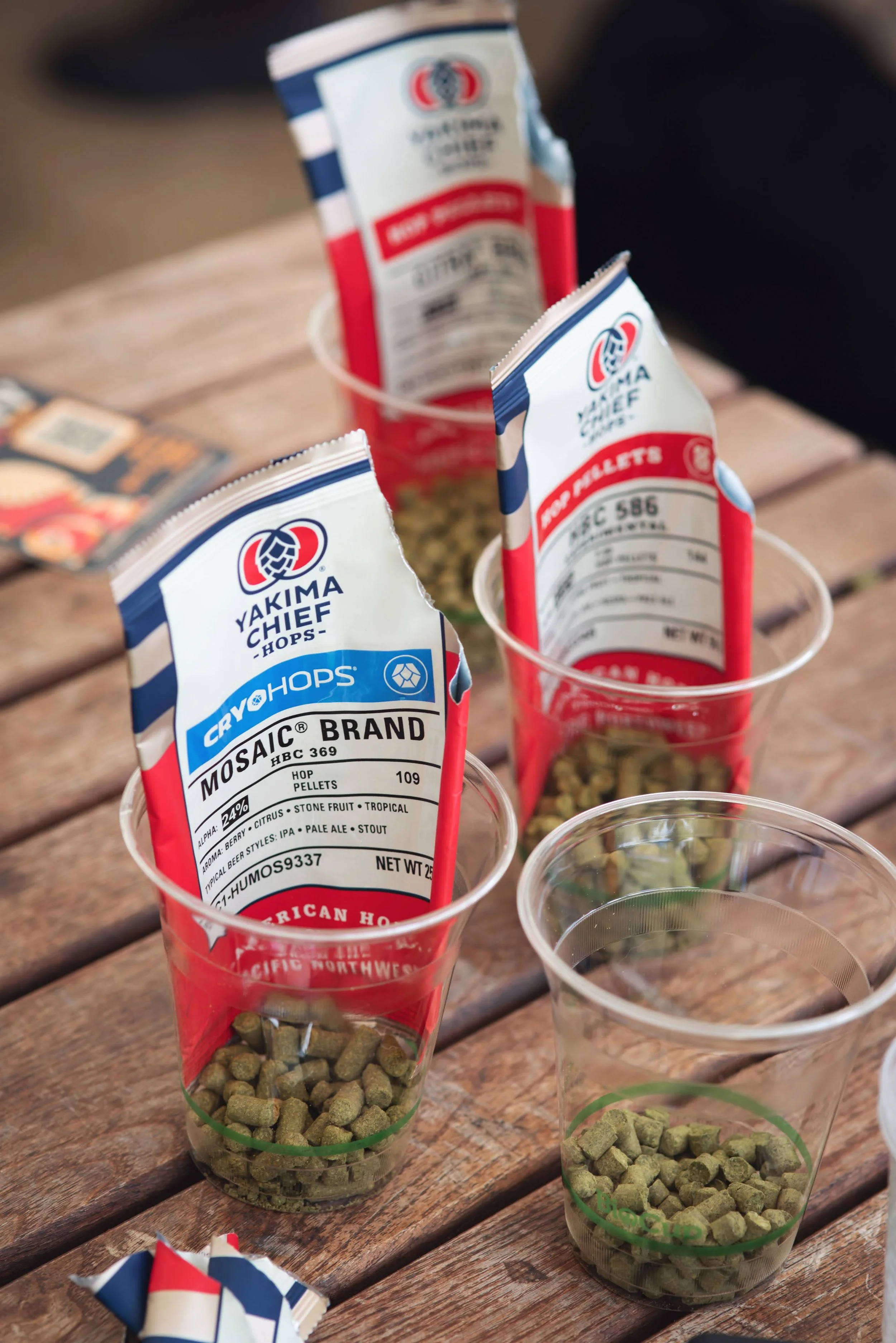 Fynefest25 - Alasdair Watson-715.jpg