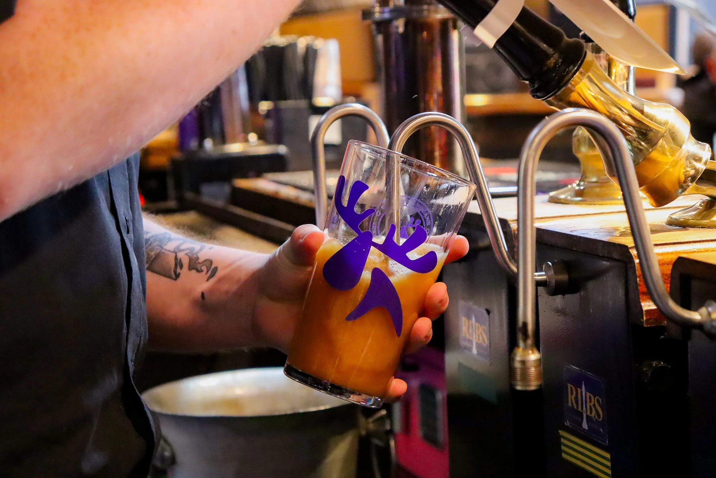 Iechyd Da! — Beer and Welsh Heritage at Purple Moose Brewery in Porthmadog, Wales