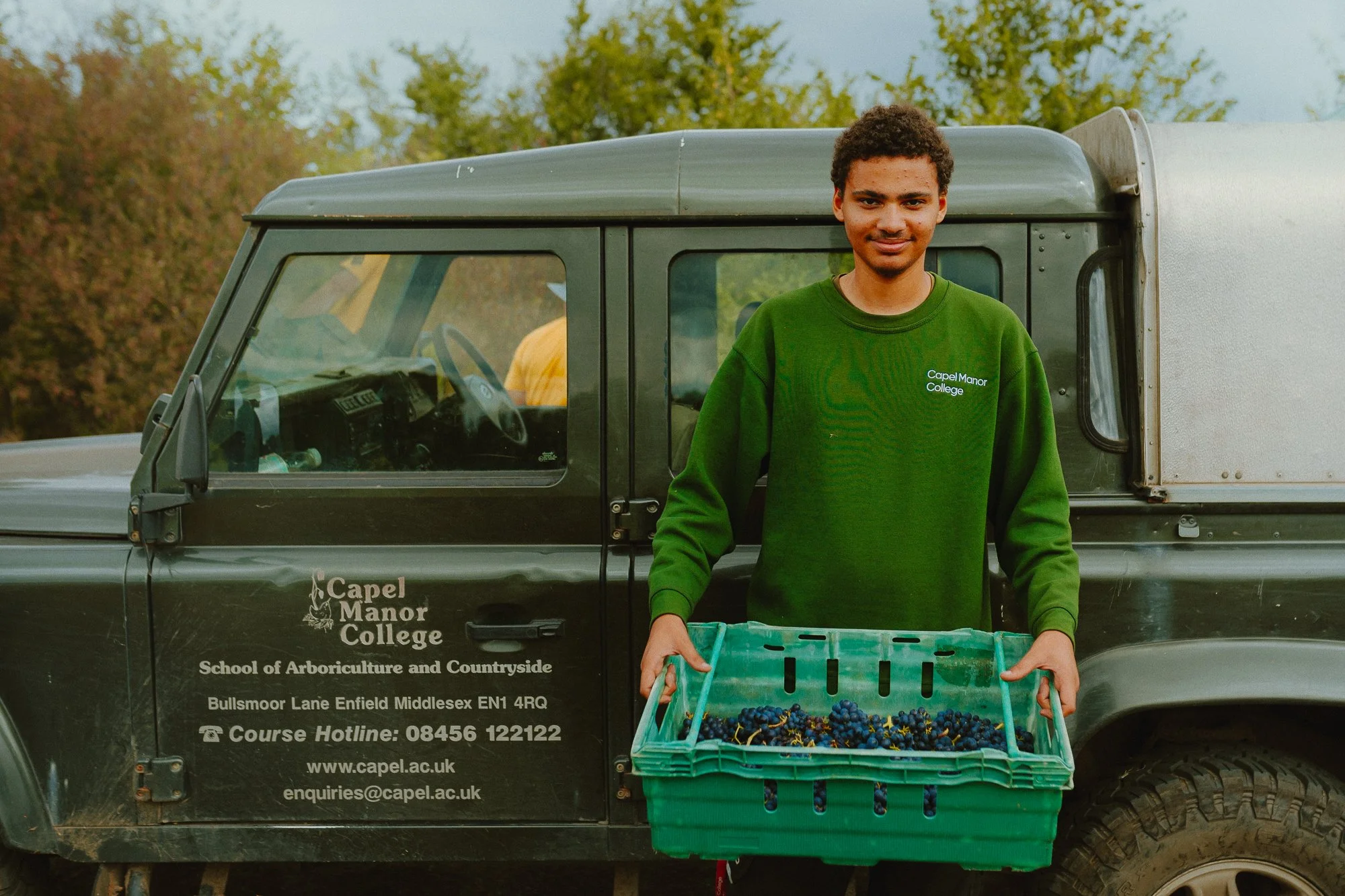 emmas-son-collecting-grapes.jpg