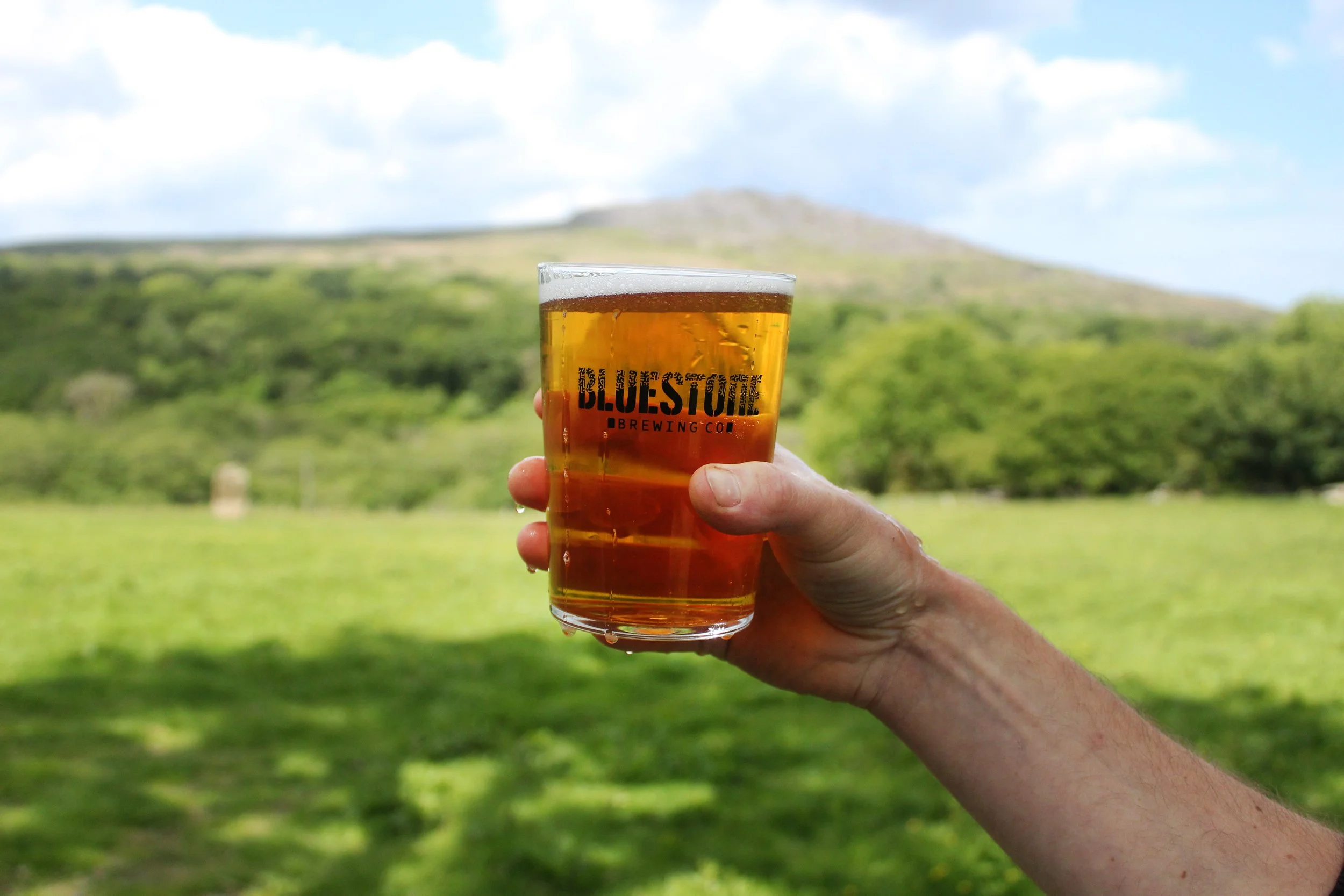 The Hills Are Alive — Meeting the Founders of Bluestone Brewing Company ...