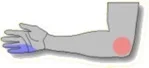 cub2.jpg