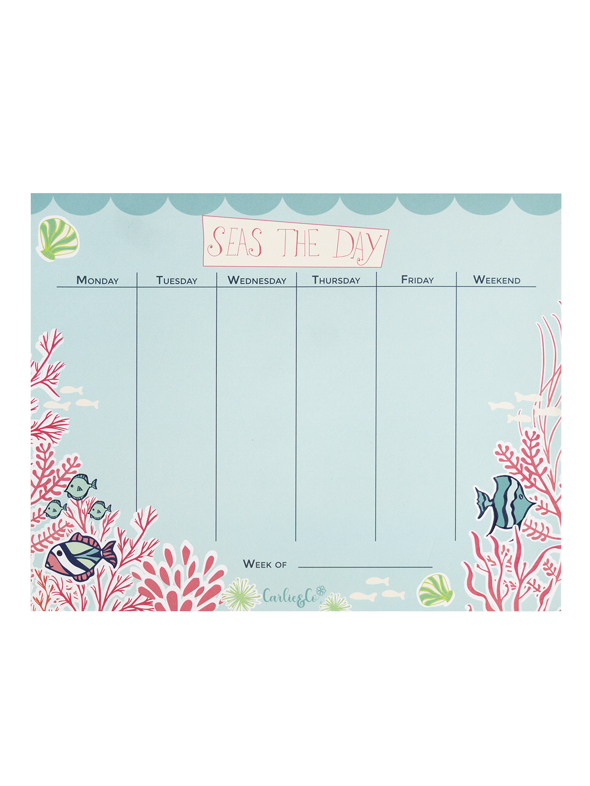 organizer - for_product_page (1).png