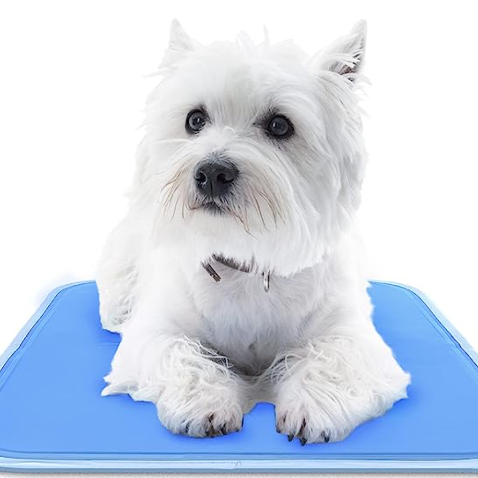 Cooling Pet Mat