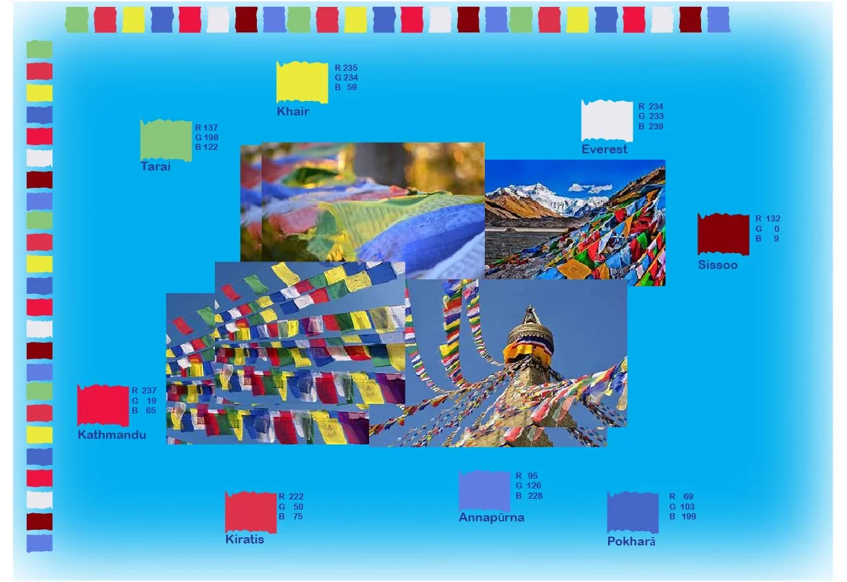  Adobe Illustrator: Colour Board 