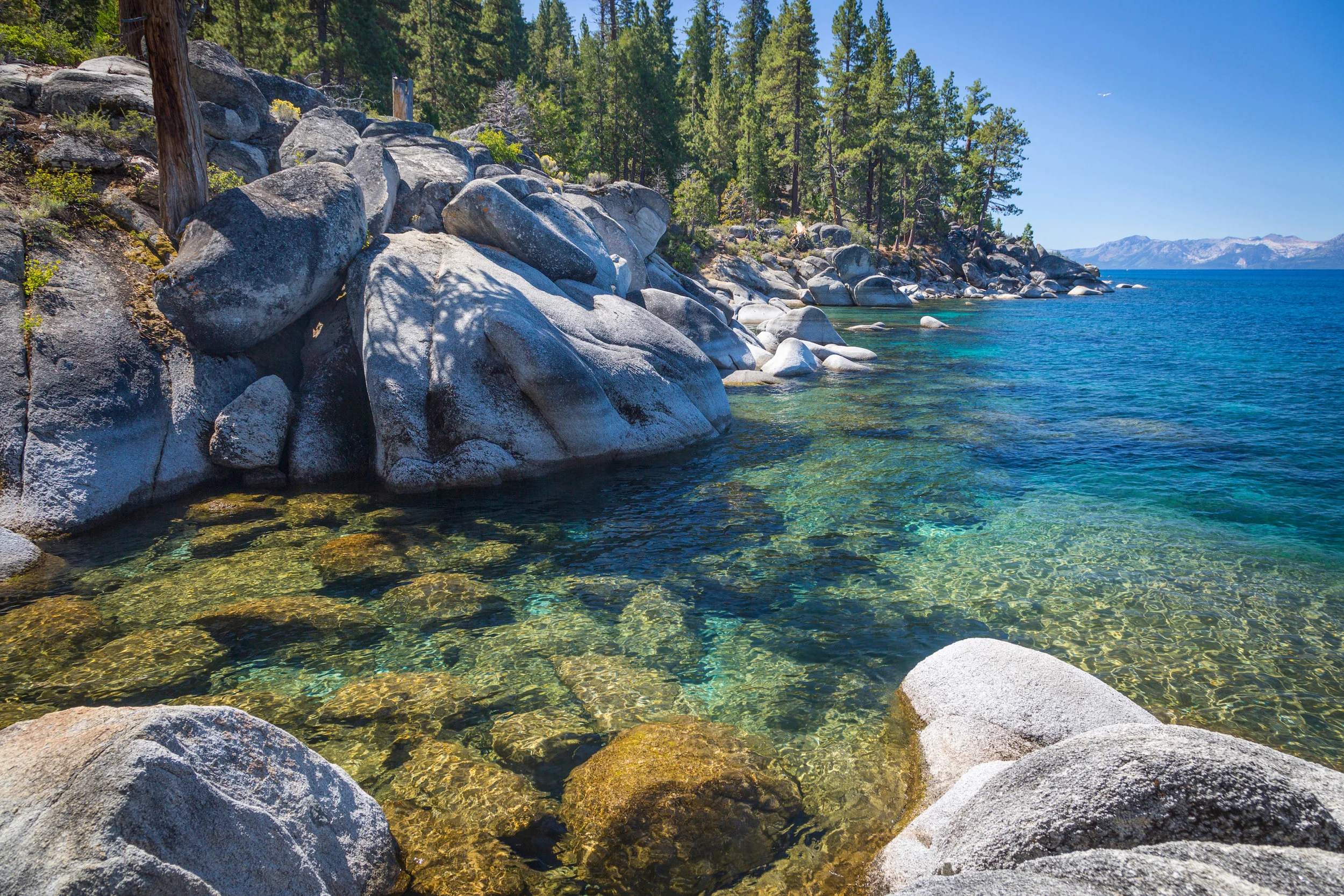 Lake Tahoe.jpg