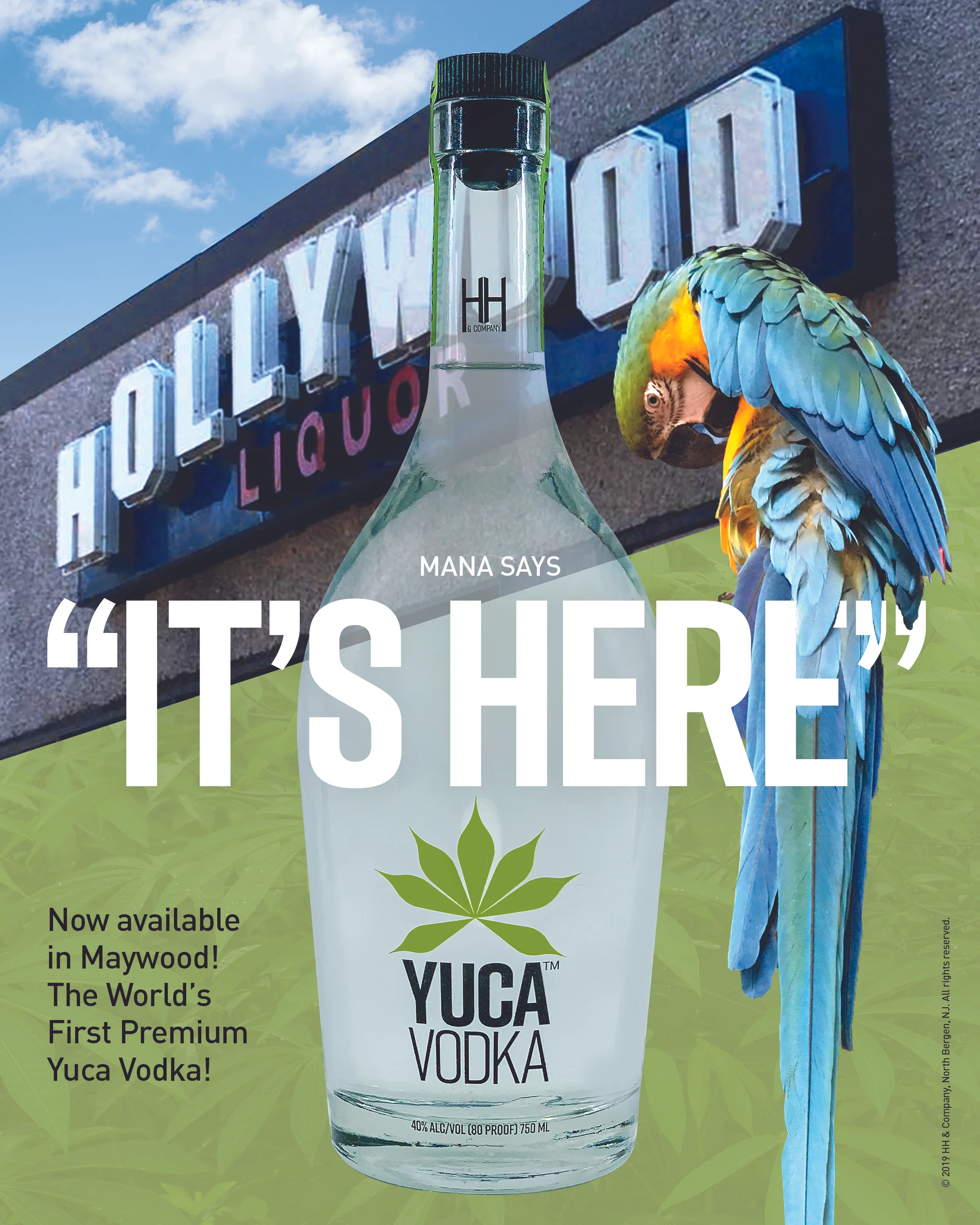 YV_Hollywood_Poster.jpg