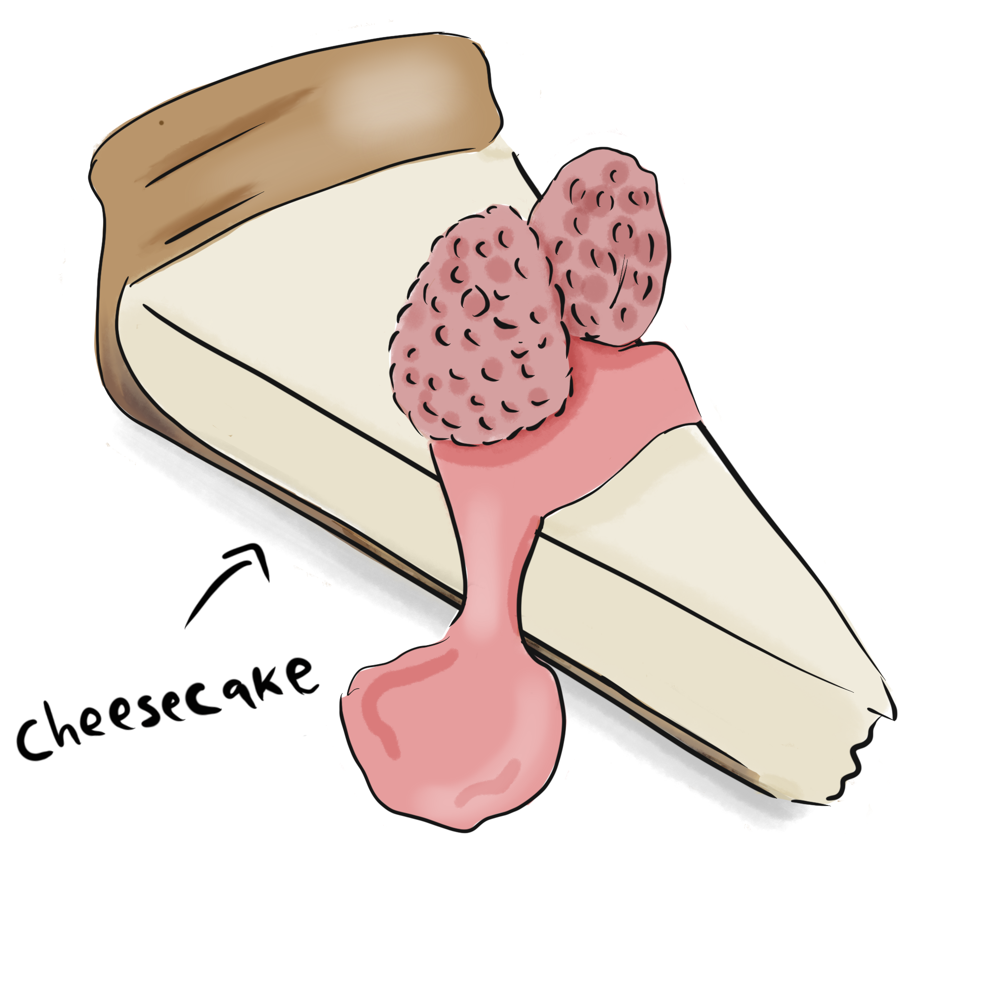 HHM_Cheesecake_visual 2.png