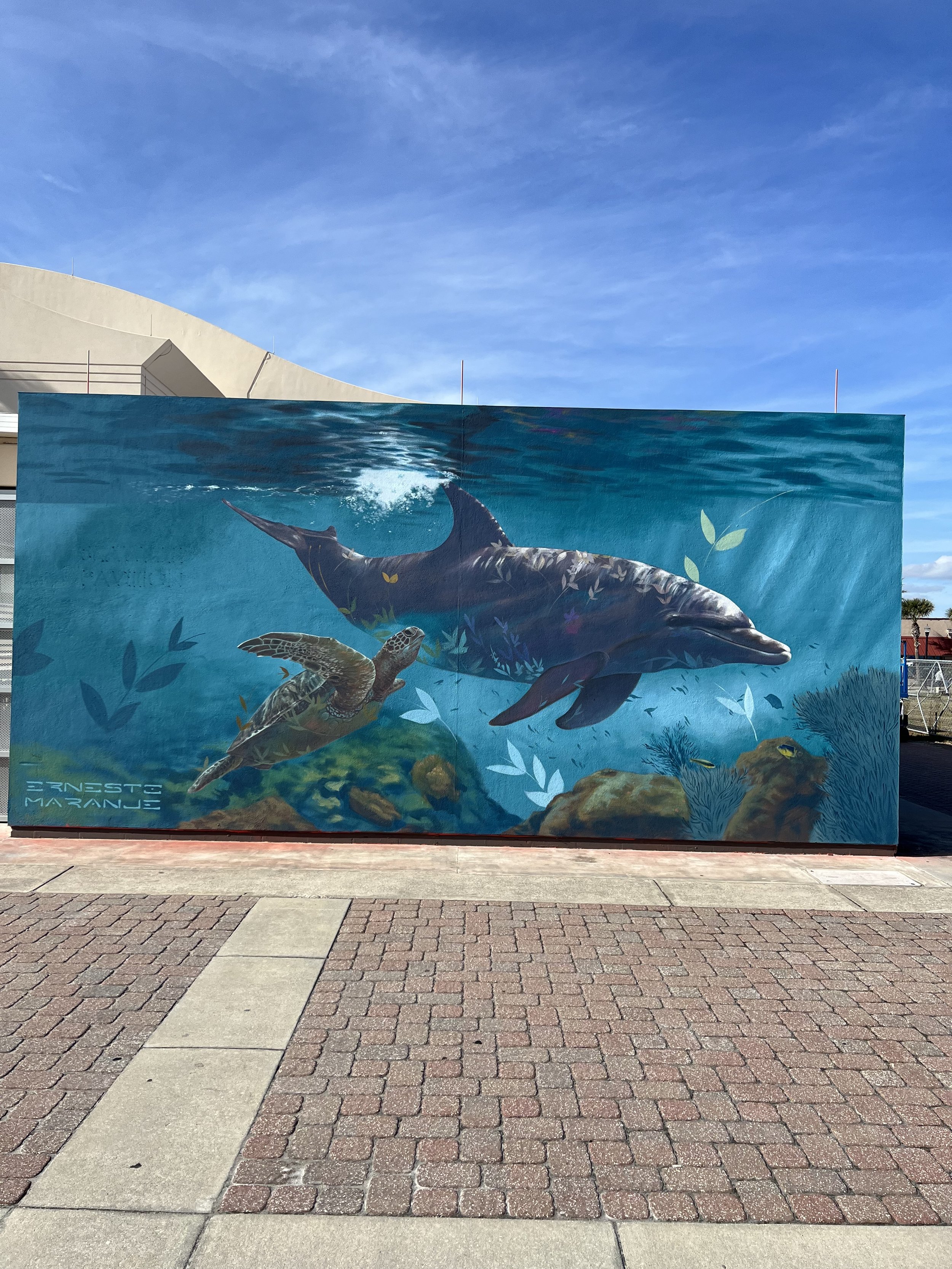 Ernesto Maranje - Jax Beach - Dolphin.jpg