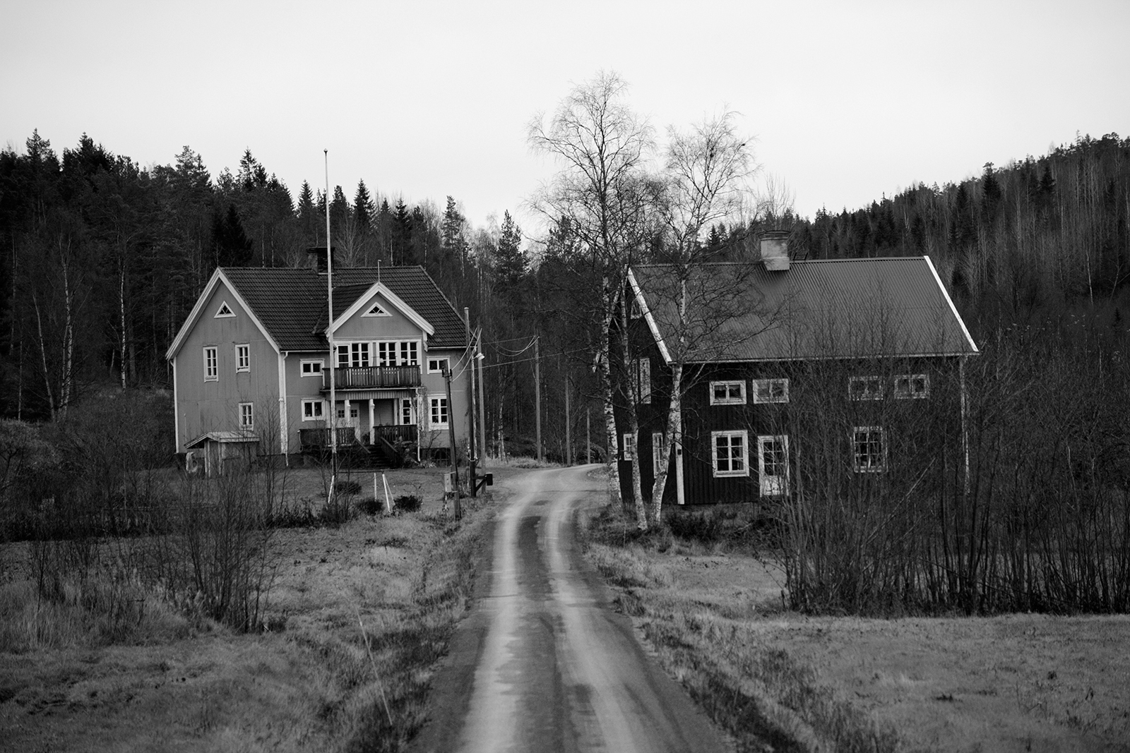 aa8.jpg