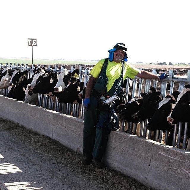 Doctor Pace is a huge asset to our team! His many years of experience in dairy heifer health keeps our operation moving in the direction of success. You're only as good as your people, and we've got some dang awesome people!