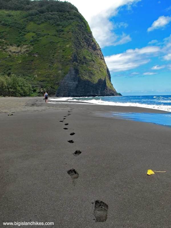 waipio valley beach.jpg