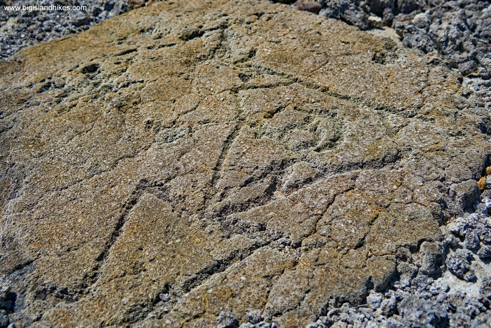 The Helmeted Warrior Petroglyph