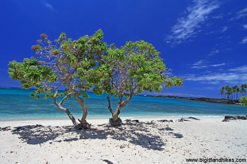 Mahai’ula Beach