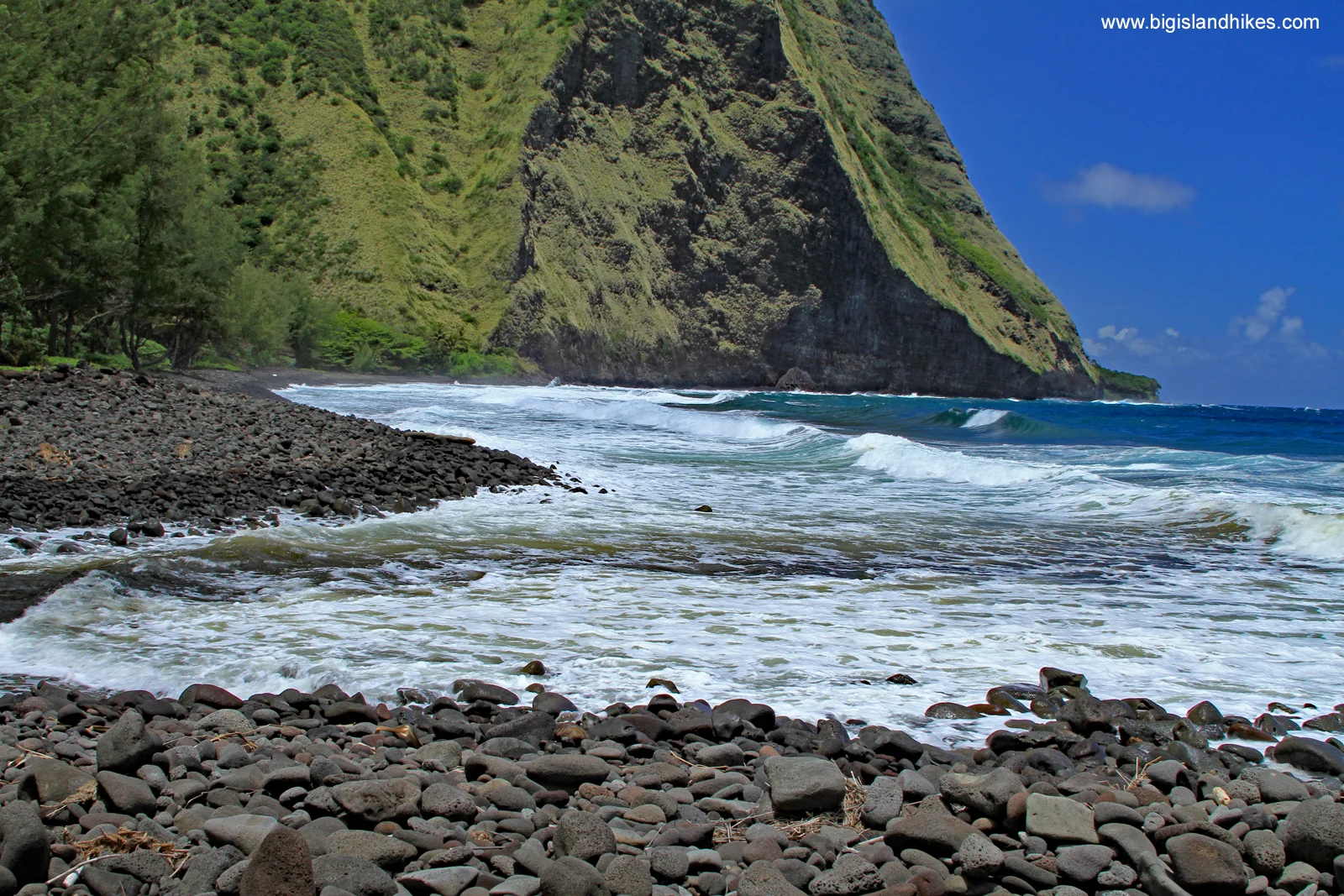 Waimanu Valley Beach