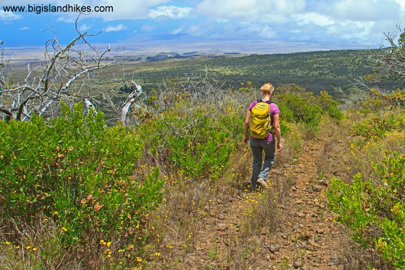 Descending Pu’u Ahumoa