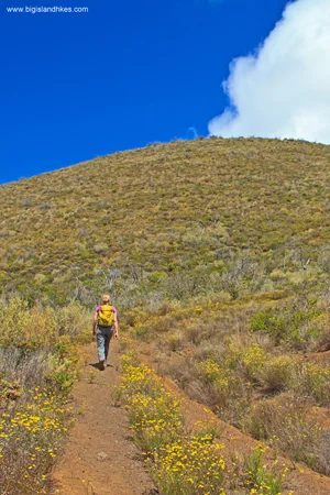 Climbing Pu’u Ahumoa