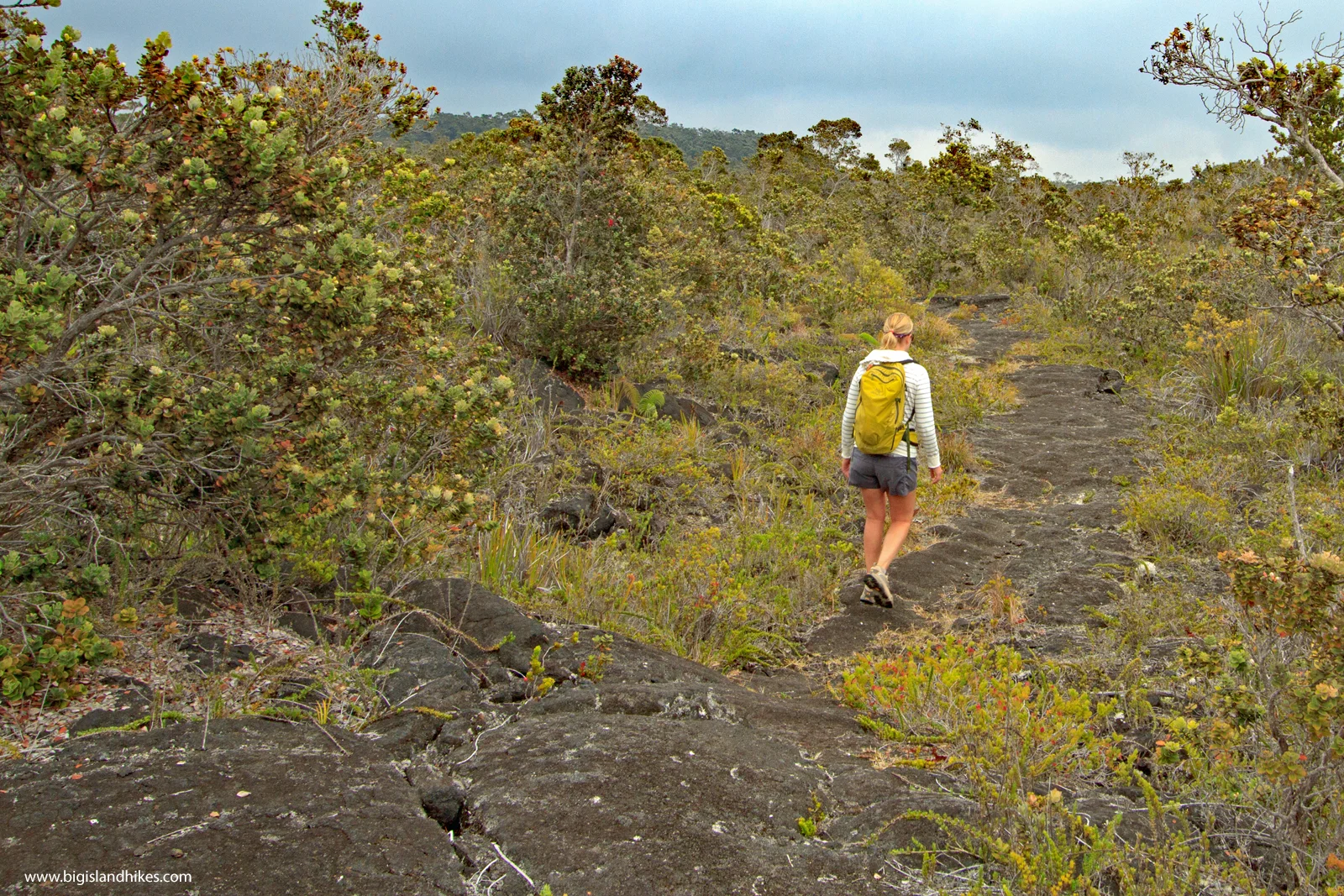 kaumana trail hiking.jpg