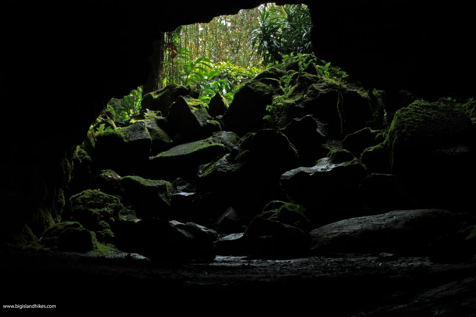 Kaumana Caves State Park