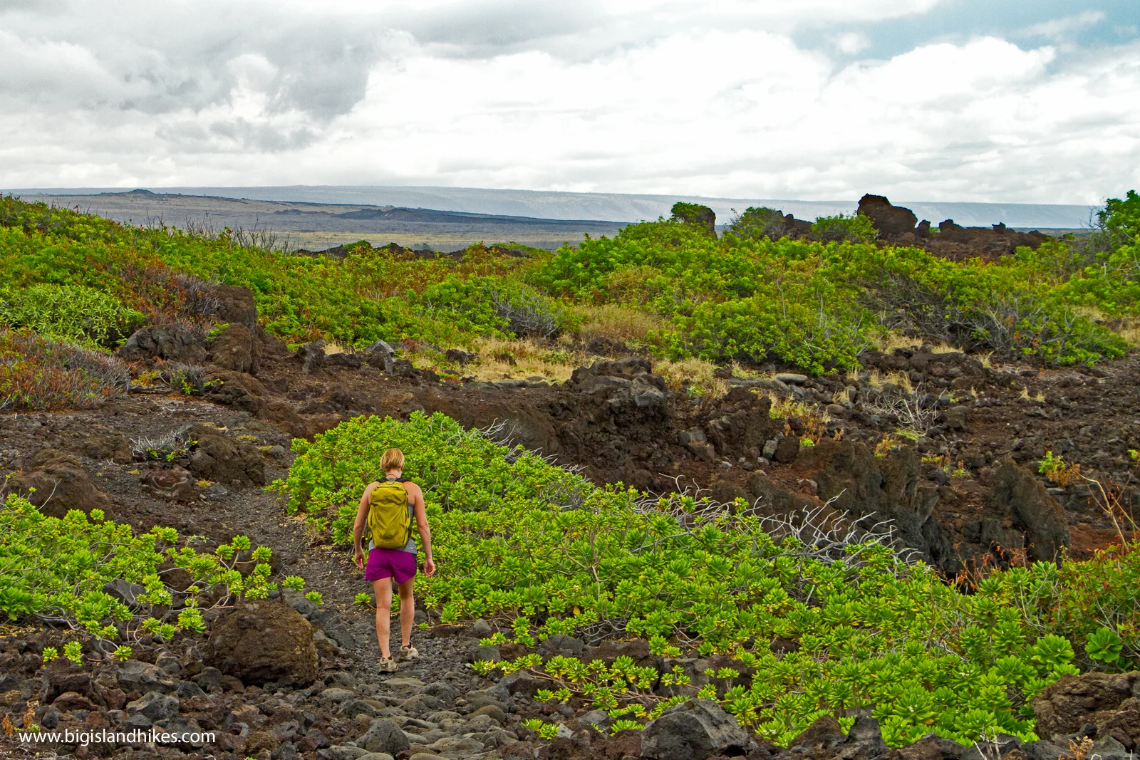 punaluu to kamehame hiking.jpg
