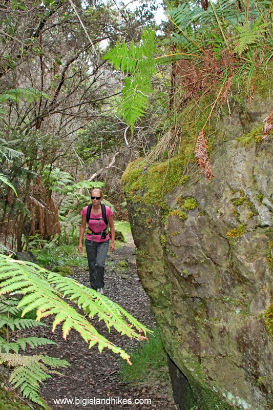 Waldron Trail Loop