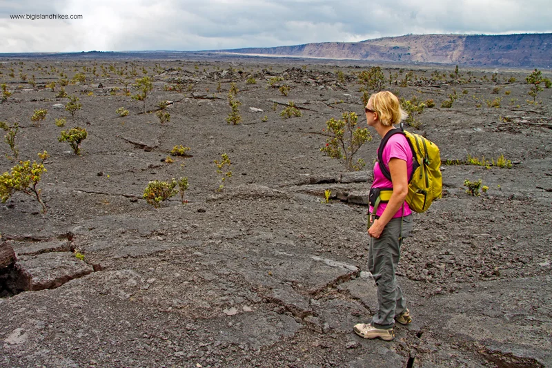 End of the Halema’uma’u Trail