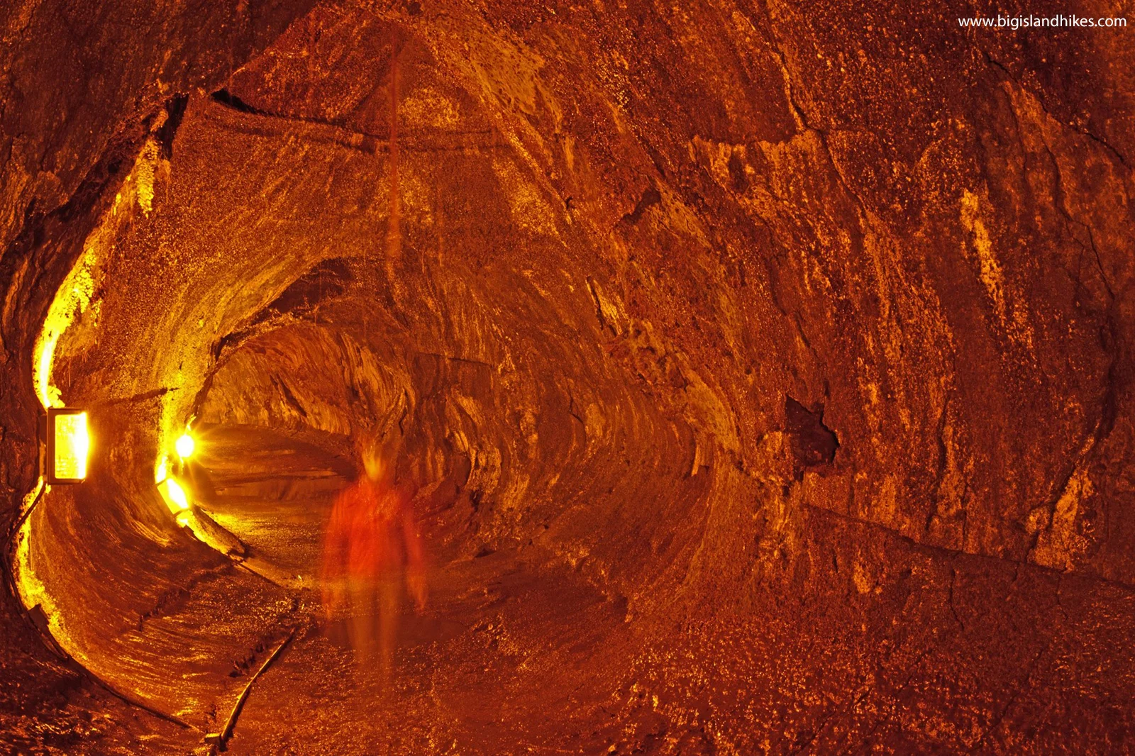 Nāhuku Thurston Lava Tube — Big Island Hikes