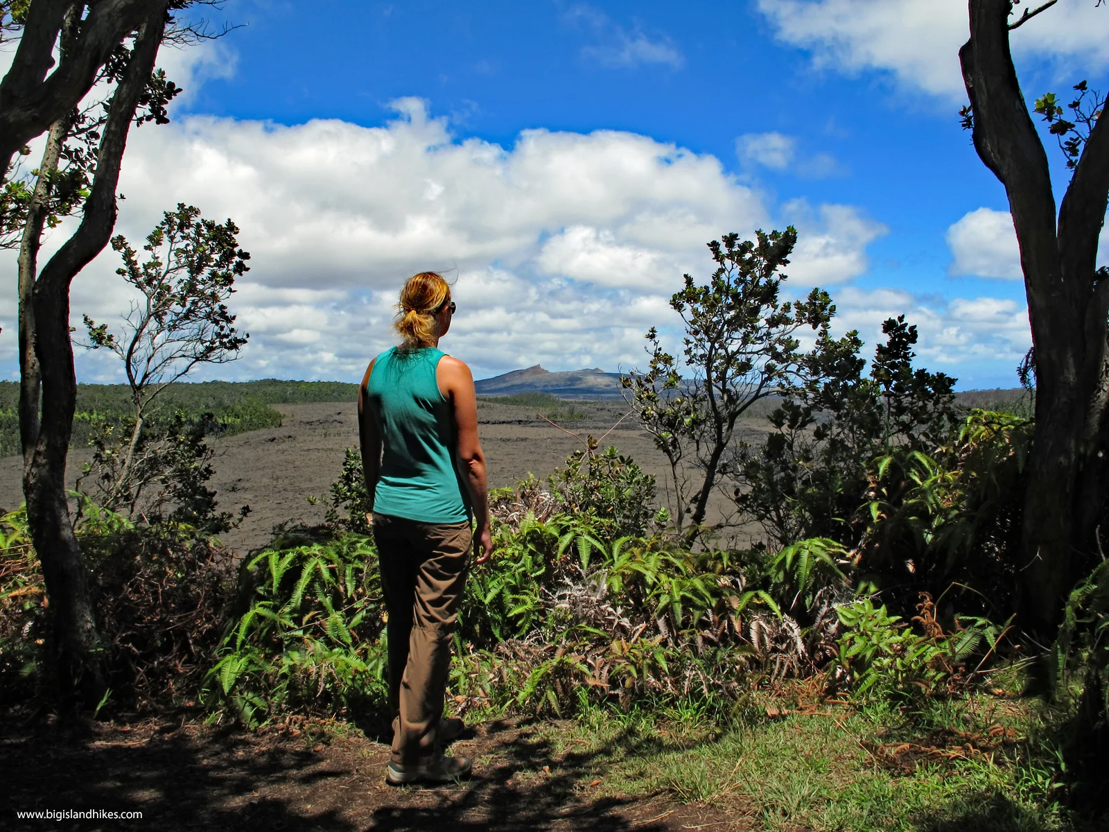 The view from the top of Pu’u Huluhulu