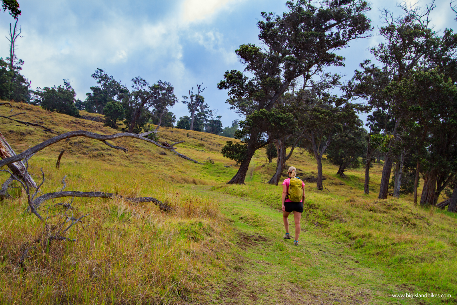 Kahuku Big Island Hikes Kahuku Big Island Hikes