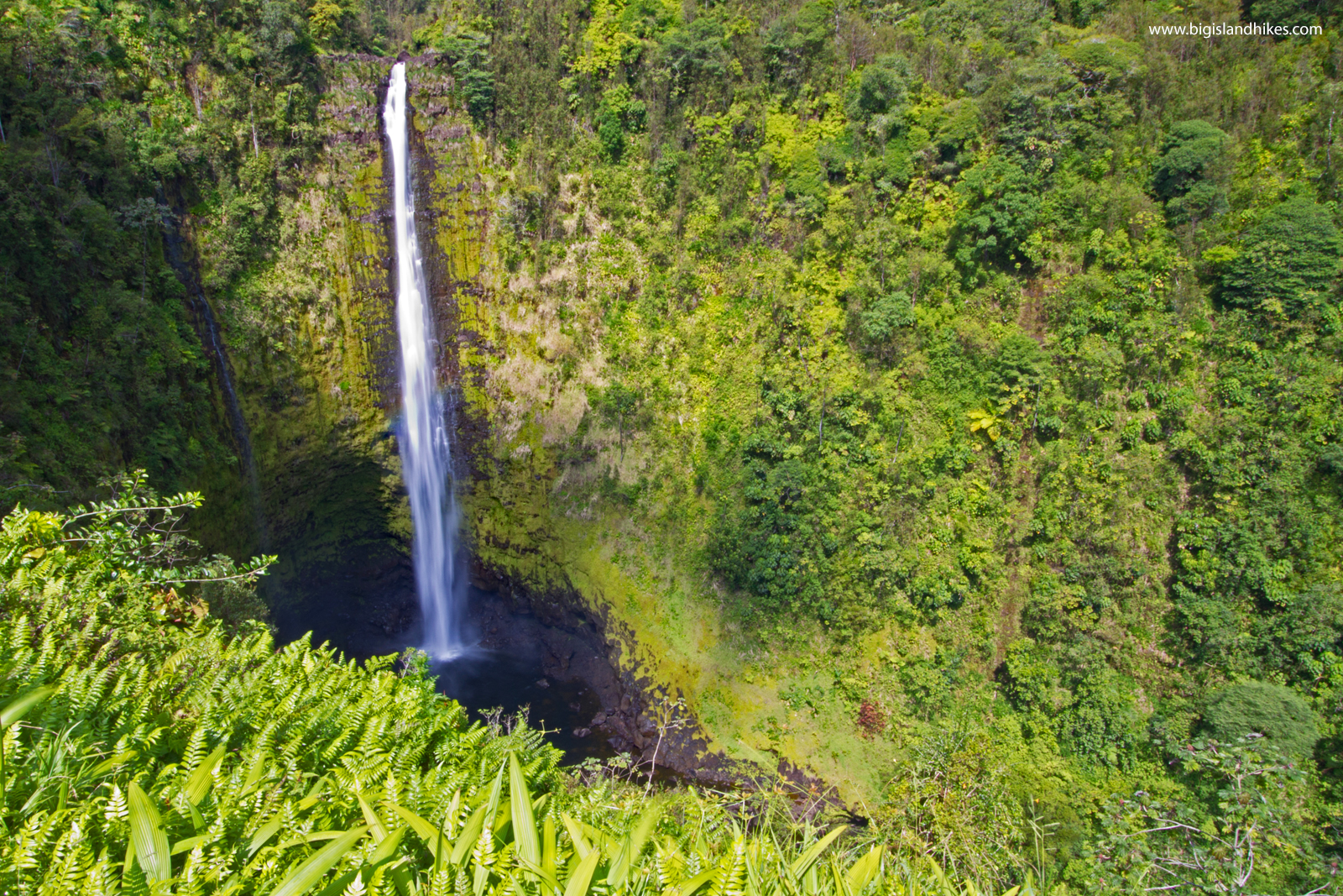 'Akaka Falls State Park