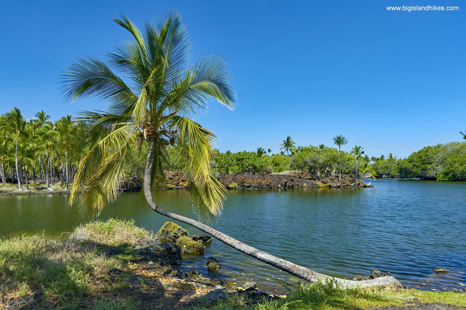 Kalāhuipua'a