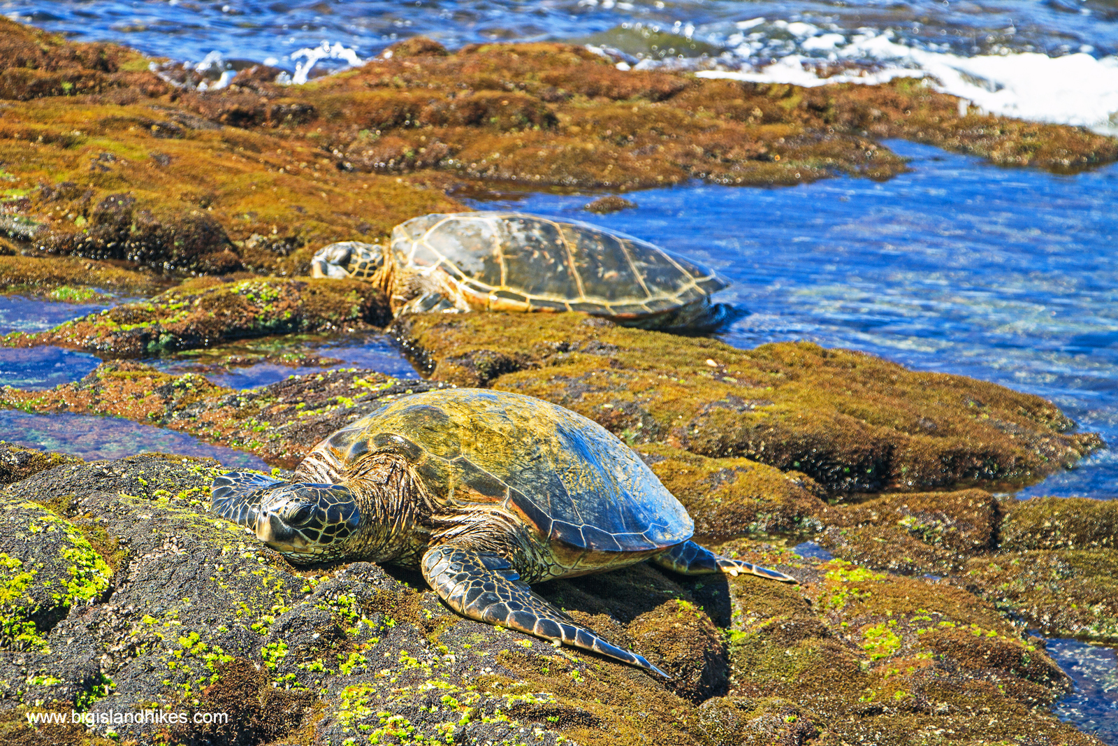 Kaloko-Honokōhau National Historical Park