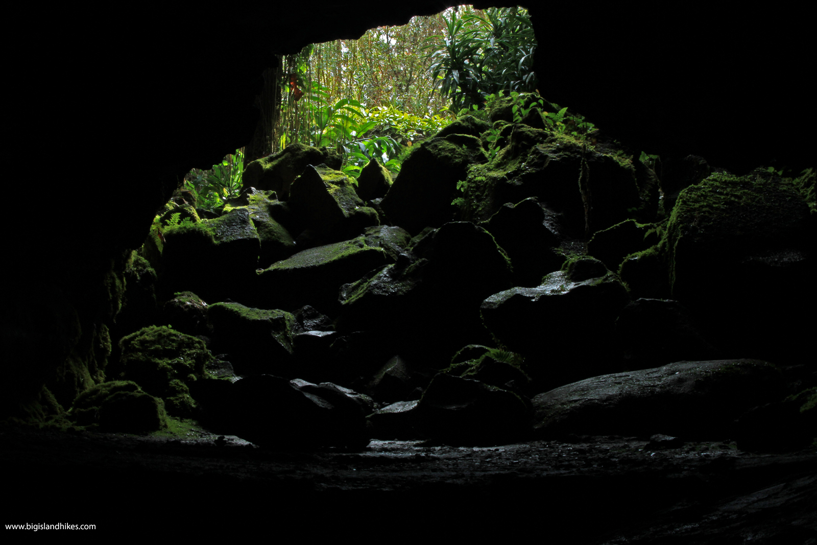 Kaumana Caves State Park